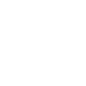 logo of stc
