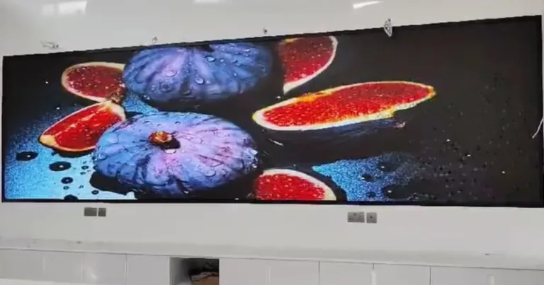 LED wall displaying vibrant colorful fruit visual