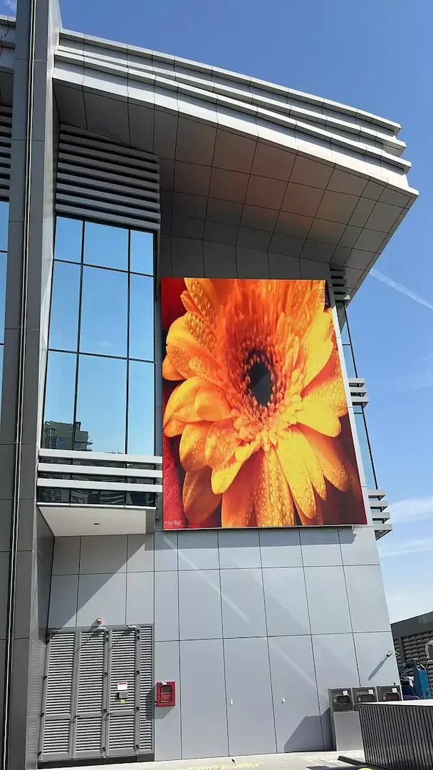 LED display mounted beside a building, showing an orange flower