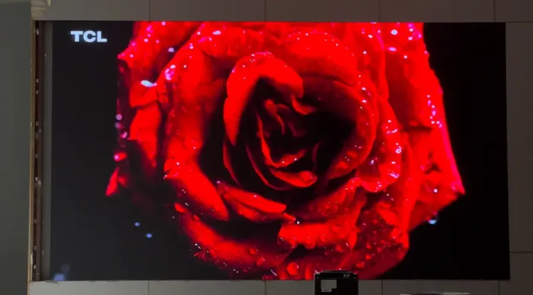 A large indoor led screen display featuring a vibrant red rose