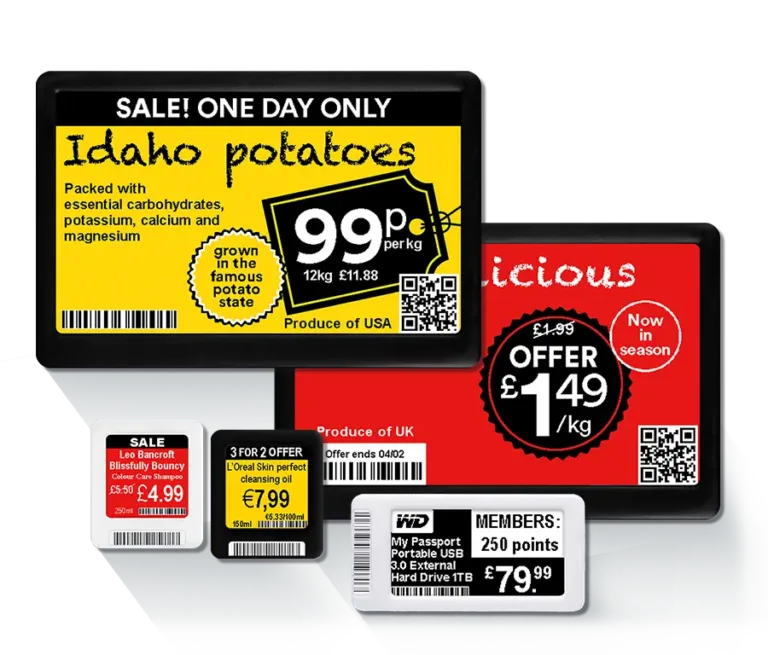 Electronic shelf label system displaying a product price