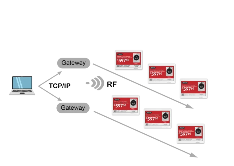 Diagram of an electronic shelf label system for a single store